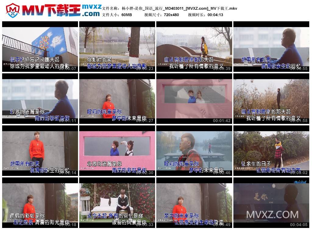 杨小胖-是你_国语_流行_MD403011